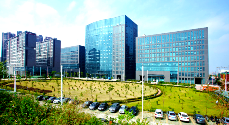 企业团建研学出行方案策划：从需求对接到落地执行指南
